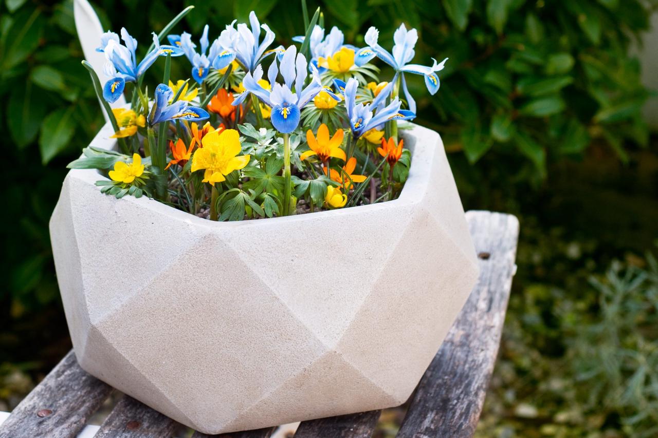 The Best Spring Bulbs: Spring-Flowering Bulbs to Plant in Autumn | BBC Gardeners World Magazine