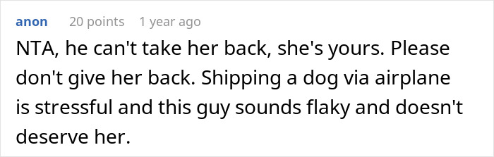 “She Never Barks And Is The Best Hiking Buddy Ever”: Guy Has Had His Friend’s Dog For 2.5 Years When Friend Asks Him To Ship Her Back, Guy Refuses